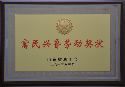 2013年8月，公司獲得山東省總工會(huì )授予“富民興魯勞動(dòng)獎狀”稱(chēng)號。