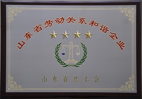 公司獲得“山東省勞動(dòng)關(guān)系和諧企業(yè)”